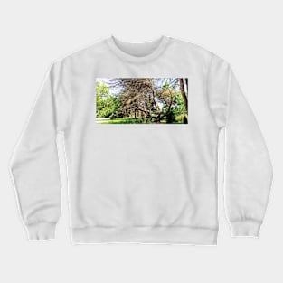 Terra Cont'd Crewneck Sweatshirt